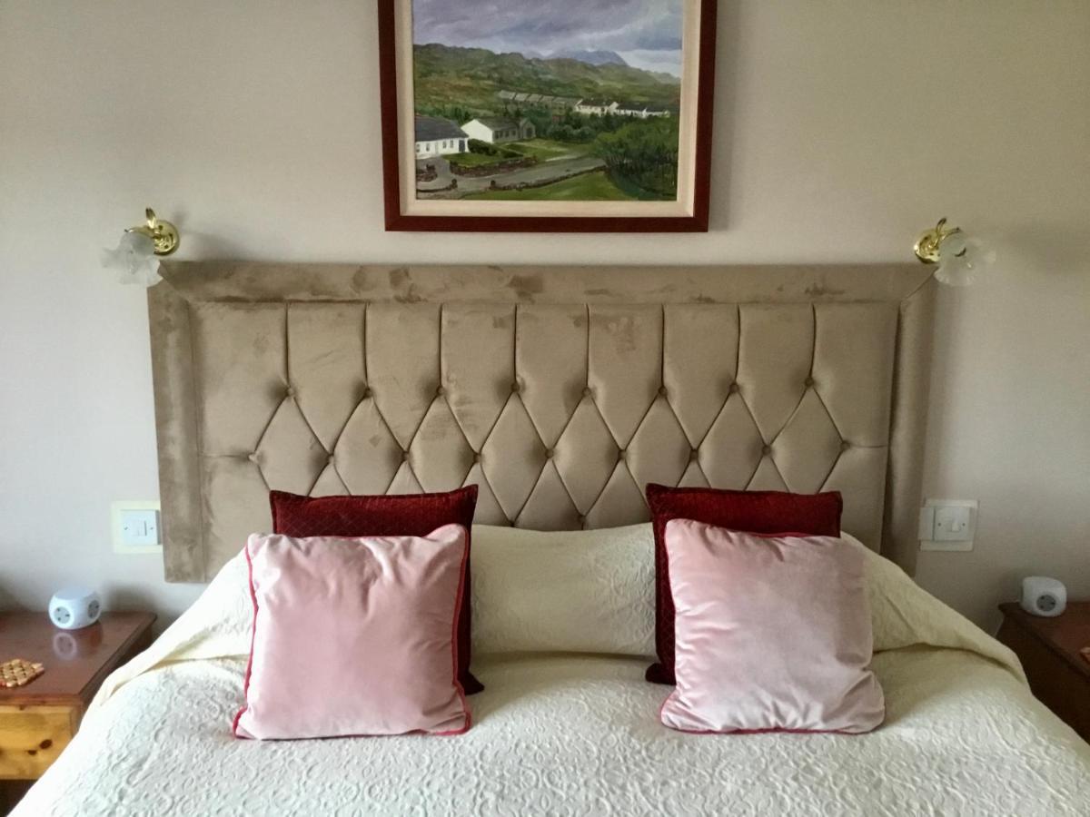 Buttermilk Lodge Guest Accommodation Clifden Extérieur photo